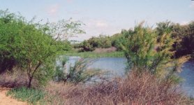 Gila River